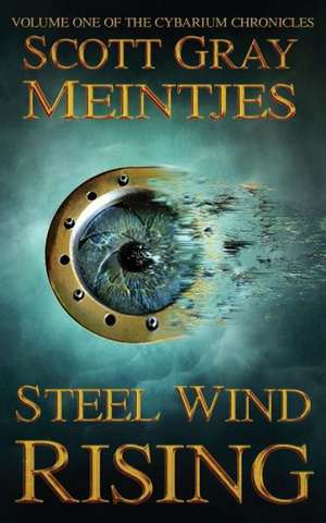 Steel Wind Rising de Scott Gray Meintjes