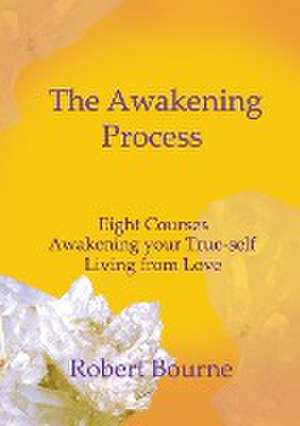 The Awakening Process de Robert Bourne