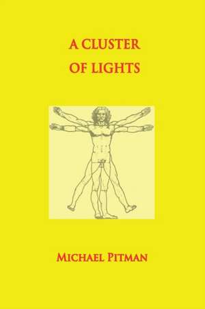 A Cluster of Lights de Michael Pitman