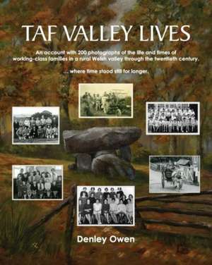 Taf Valley Lives de Denley Owen