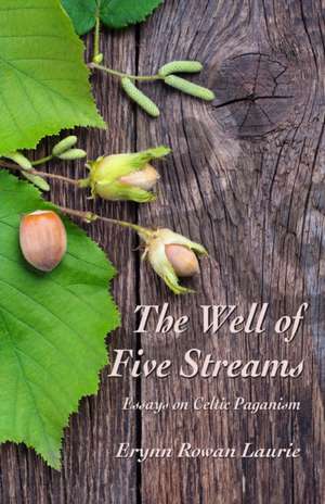 The Well of Five Streams de Erynn Rowan Laurie