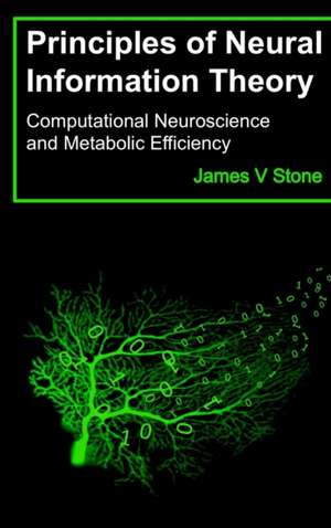 Principles of Neural Information Theory de James V. Stone