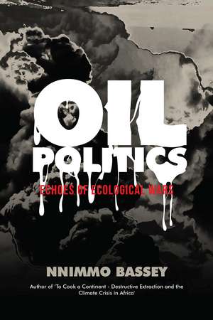 Oil Politics: Echoes of Ecological Wars de Nnimmo Bassey