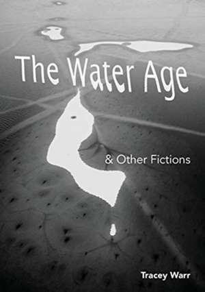 The Water Age & Other Fictions de Tracey Warr