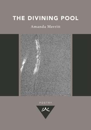 The Divining Pool de Amanda Merritt