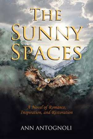 The Sunny Spaces de Ann Antognoli