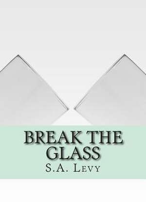 Break the Glass de S. a. Levy