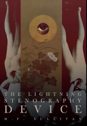 The Lightning Stenography Device de M F Sullivan