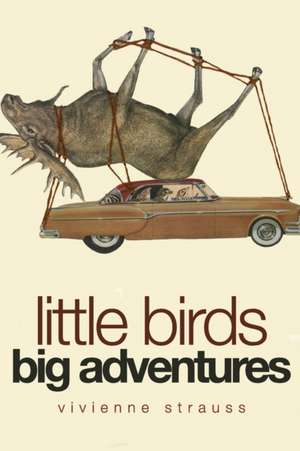 Little Birds Big Adventures