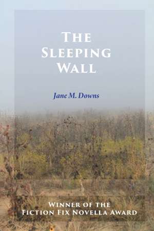 The Sleeping Wall de Jane M. Downs