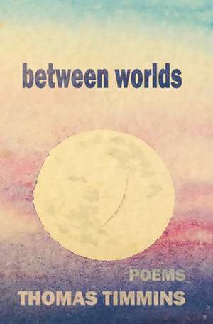 between worlds de Thomas Timmins