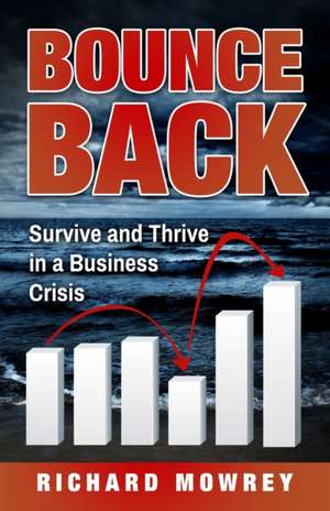 Bounce Back: Survive and Thrive in a Business Crisis de Richard Mowrey