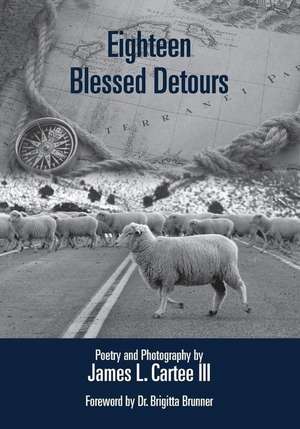 18 BLESSED DETOURS REVISED WIT