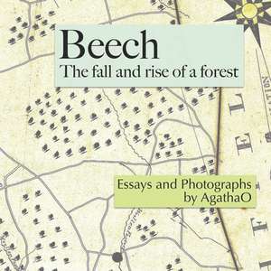 Beech: The Fall and Rise of a Forest de Pleun Clara Bouricius