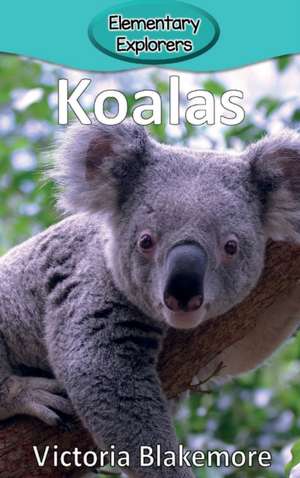 Koalas de Victoria Blakemore