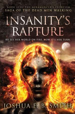 Insanity's Rapture de Joshua E. B. Smith