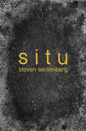 Situ de Steven Seidenberg