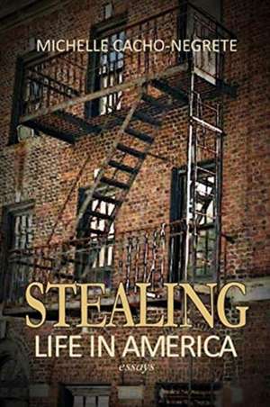 Stealing de Michelle Cacho-Negrete