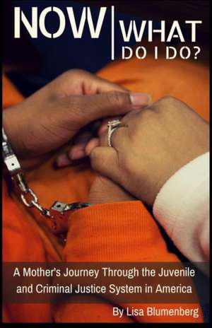 Now What Do I Do?: A Mother's Journey Through the Juvenile and Criminal Justice System in America de Lisa Blumenberg