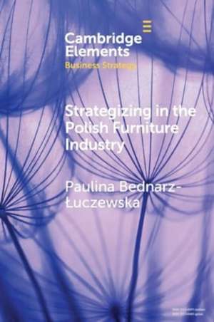 Strategizing in the Polish Furniture Industry de Paulina Bednarz-Luczewska