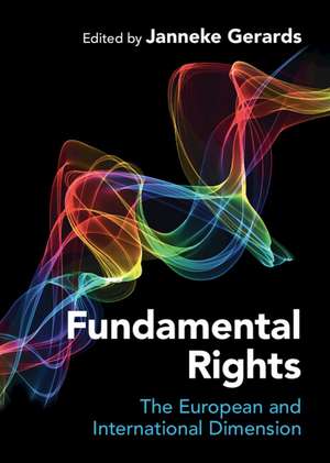 Fundamental Rights: The European and International Dimension de Janneke Gerards