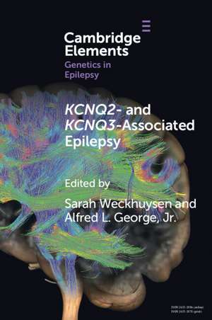 KCNQ2- and KCNQ3-Associated Epilepsy de Sarah Weckhuysen