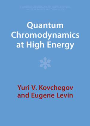 Quantum Chromodynamics at High Energy de Yuri V. Kovchegov