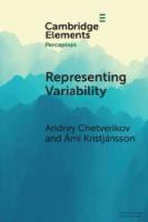 Representing Variability de Andrey Chetverikov