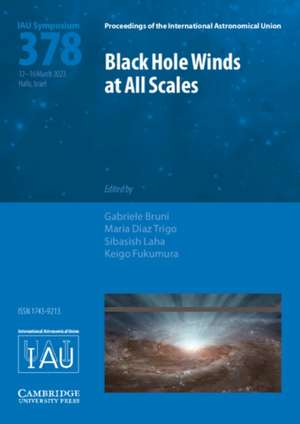 Black Hole Winds at All Scales (Iau S378) de Gabriele Bruni