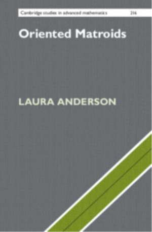 Oriented Matroids de Laura Anderson