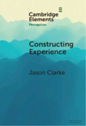 Constructing Experience de Jason Clarke