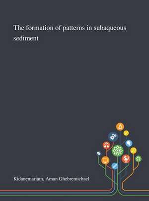 The Formation of Patterns in Subaqueous Sediment de Aman Ghebremichael Kidanemariam