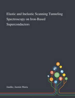 Elastic and Inelastic Scanning Tunneling Spectroscopy on Iron-Based Superconductors de Jasmin Maria Jandke