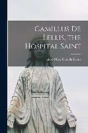 Camillus De Lellis, the Hospital Saint de Mary Camilla Sister Lyons