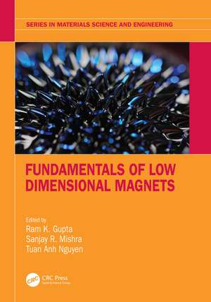 Fundamentals of Low Dimensional Magnets de Ram K. Gupta