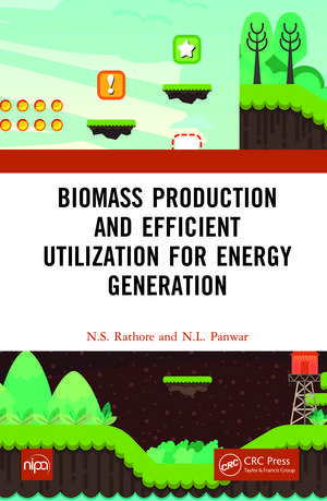 Biomass Production and Efficient Utilization for Energy Generation de N.S. Rathore