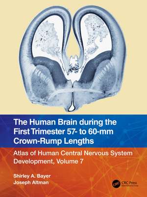 The Human Brain during the First Trimester 57- to 60-mm Crown-Rump Lengths: Atlas of Human Central Nervous System Development, Volume 7 de Shirley A. Bayer