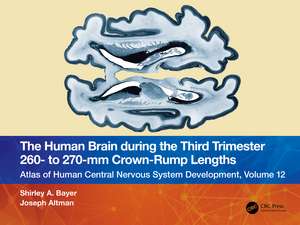 The Human Brain during the Third Trimester 260– to 270–mm Crown-Rump Lengths: Atlas of Central Nervous System Development, Volume 12 de Shirley A. Bayer