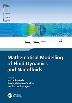 Mathematical Modelling of Fluid Dynamics and Nanofluids de Katta Ramesh