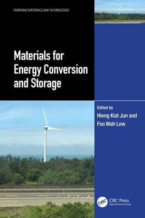 Materials for Energy Conversion and Storage de Hieng Kiat Jun