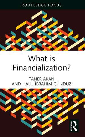What is Financialization? de Taner Akan