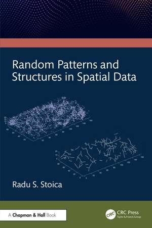 Random Patterns and Structures in Spatial Data de Radu Stoica