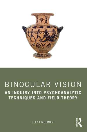 Binocular Vision: An Inquiry into Psychoanalytic Techniques and Field Theory de Elena Molinari