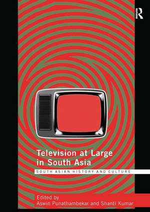 Television at Large in South Asia de Aswin Punathambekar