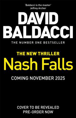 Nash Falls de David Baldacci