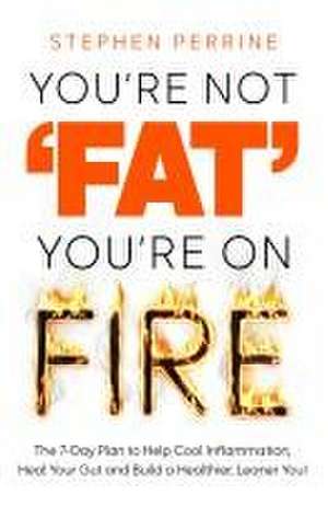 You're Not 'Fat', You're On Fire de Stephen Perrine