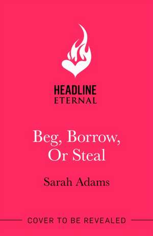 Beg, Borrow, or Steal de Sarah Adams