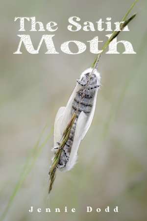 The Satin Moth de Jennie Dodd