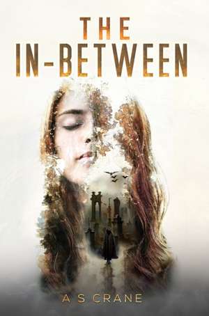 In-Between de A S Crane