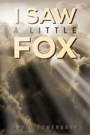 I Saw a Little Fox de David Bowerbank